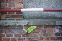 Untitled-5~0.jpg