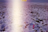 pink.jpg